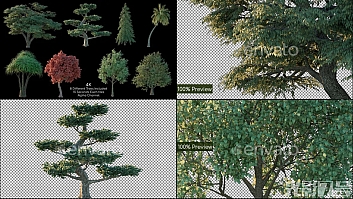 8种不同的树木包 Tree Pack 4K 2